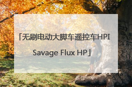 无刷电动大脚车遥控车HPI Savage Flux HP
