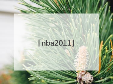「nba2011」nba2011年总决赛录像回放