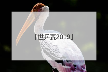 「世乒赛2019」世乒赛2019女单决赛