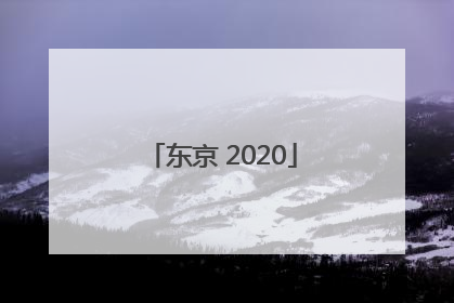「东京 2020」东京2020年奥运会游戏