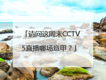 请问这周末CCTV5直播哪场意甲？